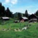 111_Hintere_Sandlingalm