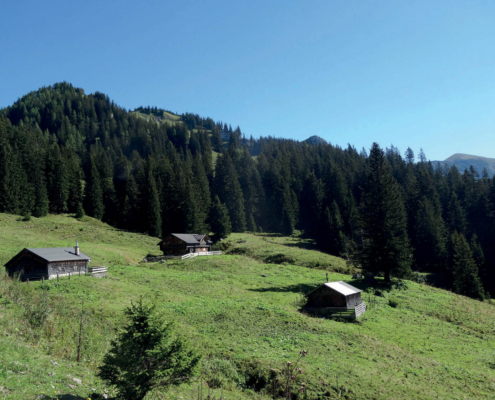 116_Hinteralm