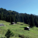 116_Hinteralm