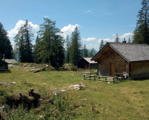 117_Mitteralm
