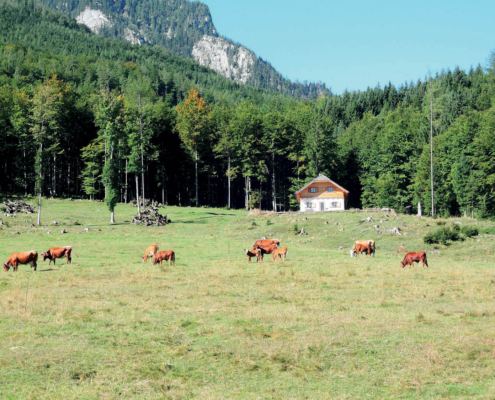 128_Baernaualm