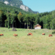 128_Baernaualm