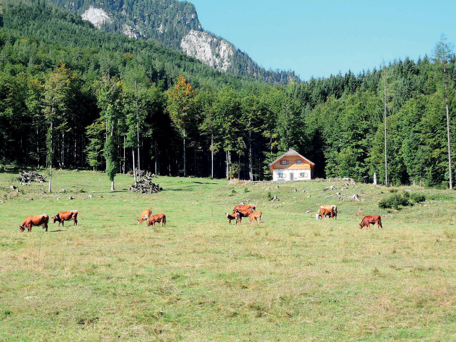 Bärnaualm