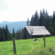 12_Untere_Sommeraualm