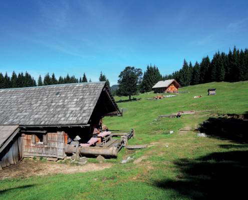 132 Steinbergalm alt