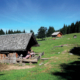 132 Steinbergalm alt