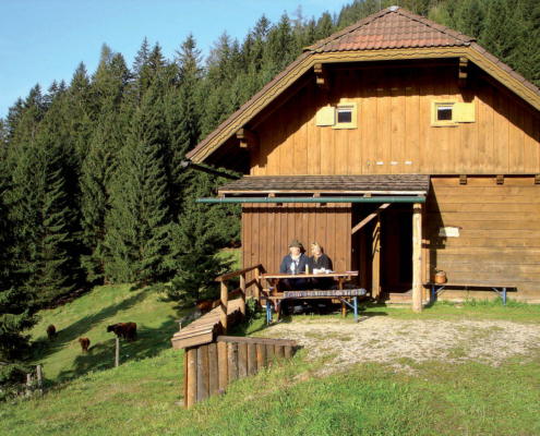 135_Spitzelsteinalm2_2009_RZ