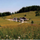 144_Kollmannsbergalm_FranzGrashaeftl_RZ