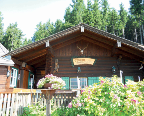 150_Foedingeralm