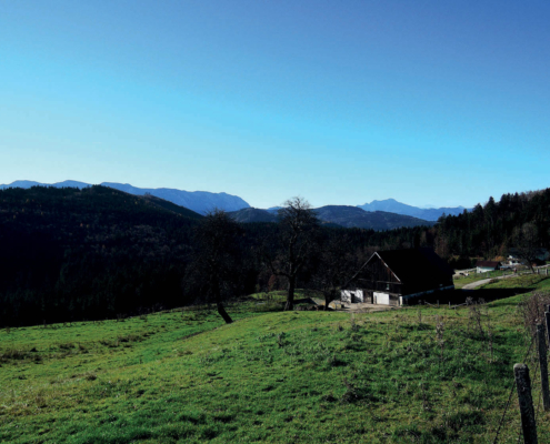 150_Foedingeralm