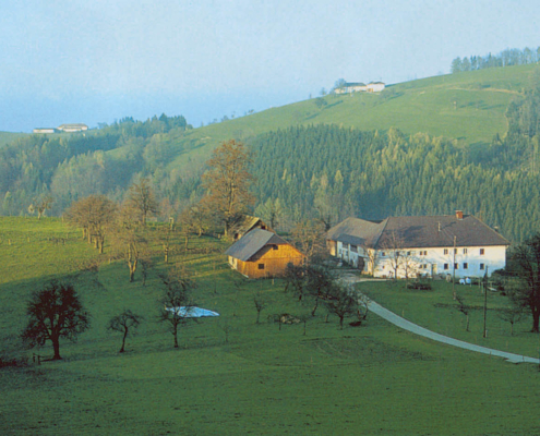 170_Bauer_im_Reith