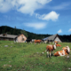 182_Ahornfeld