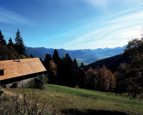 203_Filzmoseralm