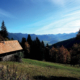 203_Filzmoseralm