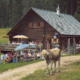 20_Iglmoosalm