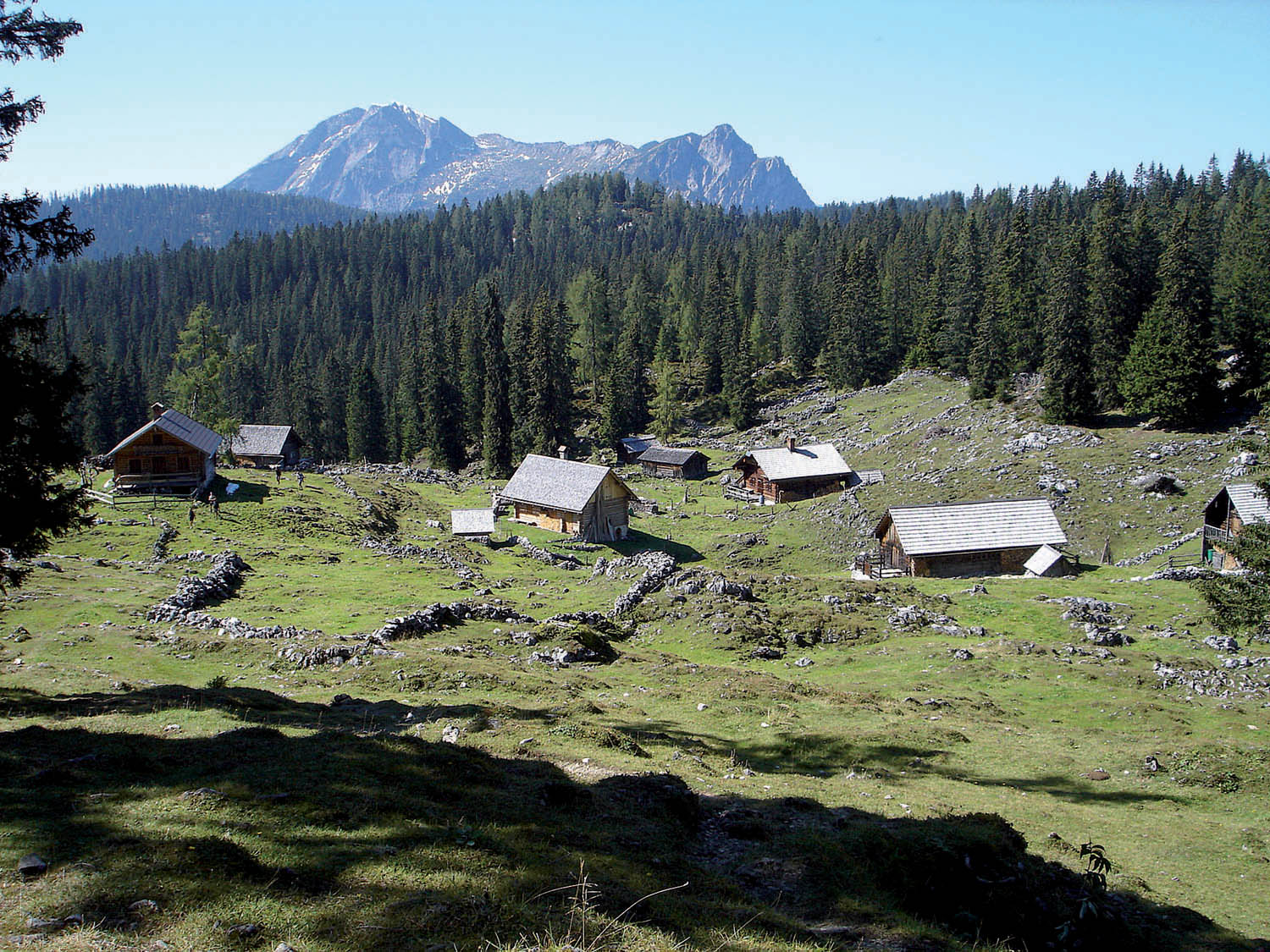 Hohe Schartenalm