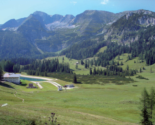 234_Wurzeralm