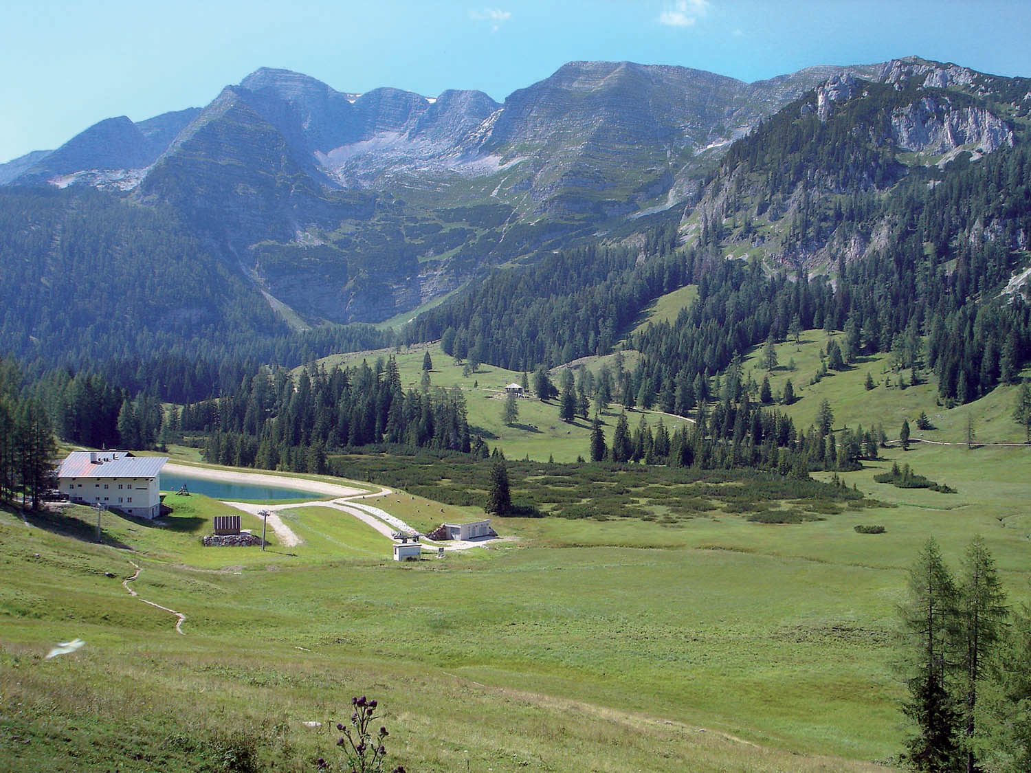 Wurzeralm