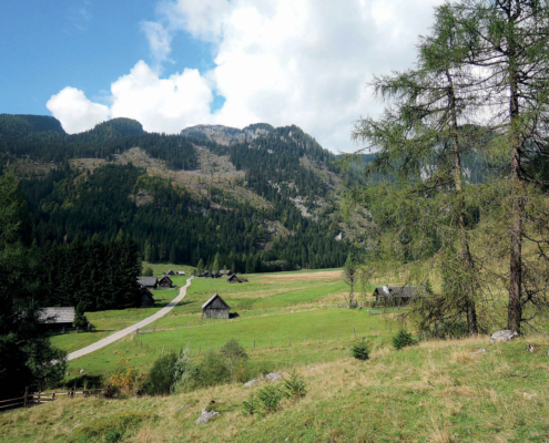 236_Hintersteineralm