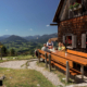 249_Gowilalm