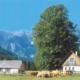 264_Laussabauernalm