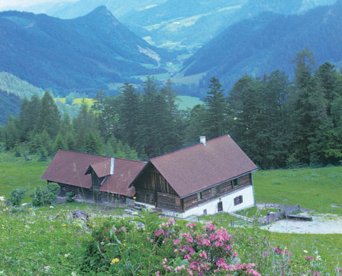 267_Inselsbacheralm