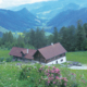 267_Inselsbacheralm