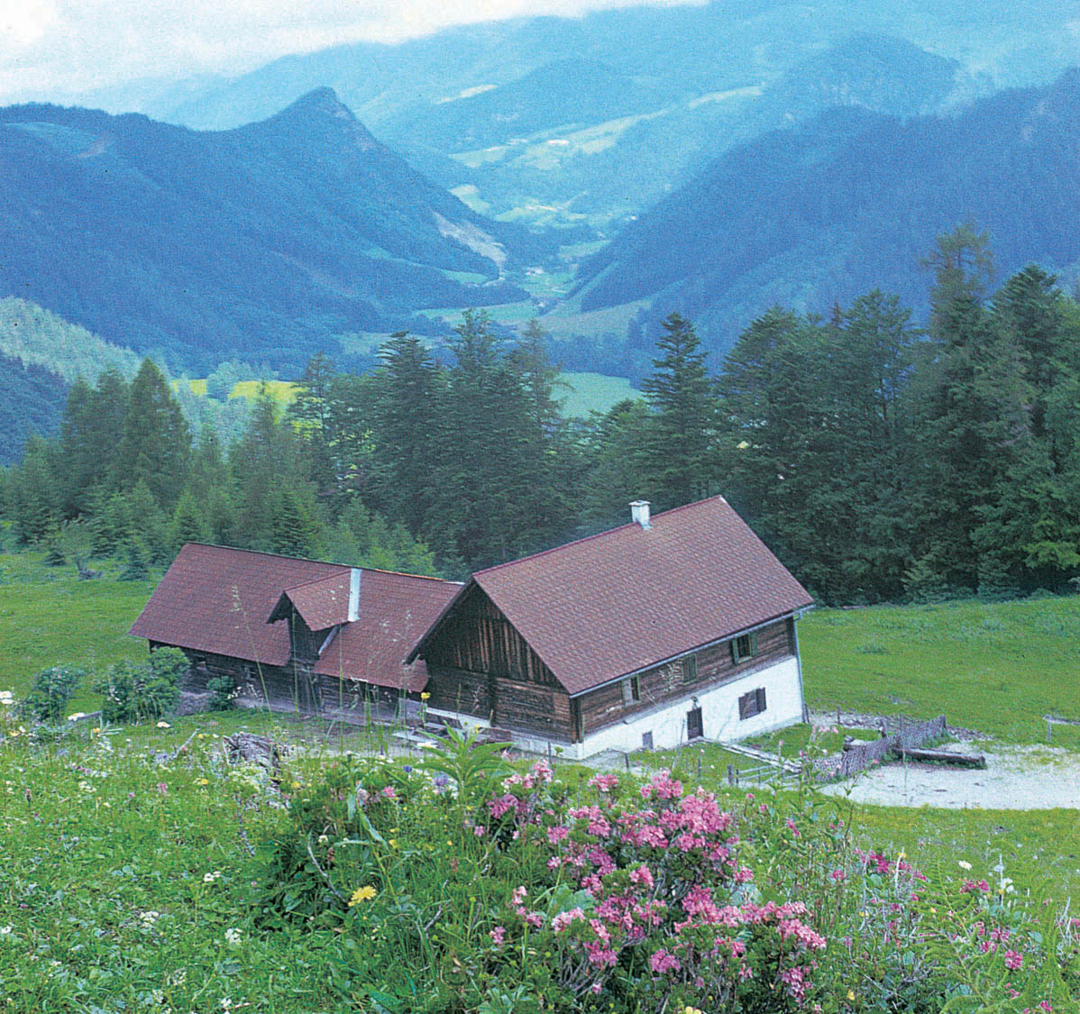 Inselsbacheralm