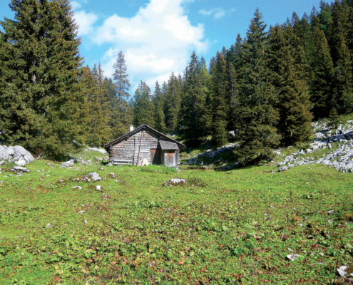 27_Modereckalm1_2009_RZ