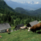 Hanslalm