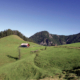 296_Blahbergalm
