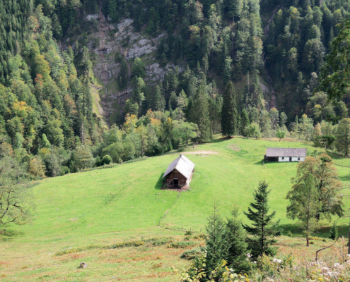 297_Bergeralm