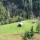 297_Bergeralm