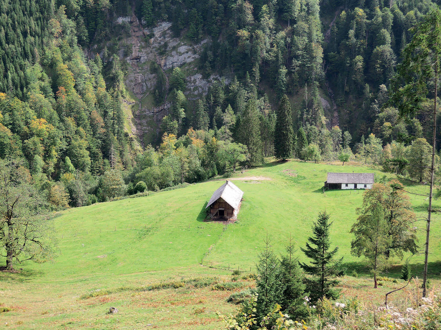 297_Bergeralm