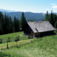 29_Hintere Grubenalm1