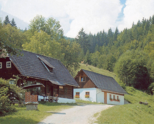 302_Menaueralm