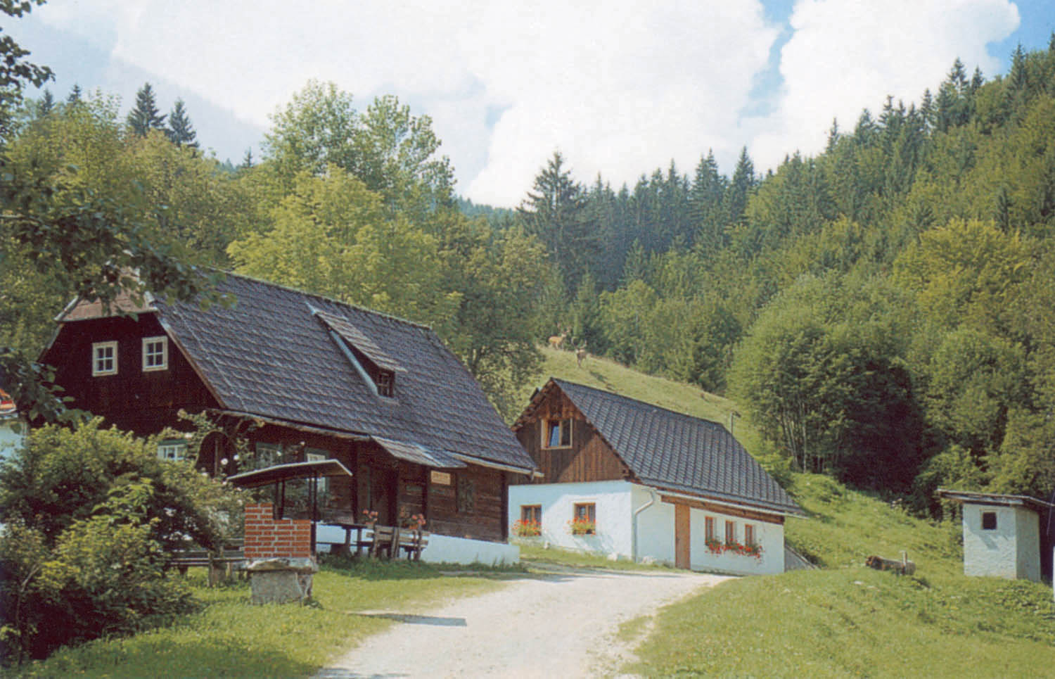 302_Menaueralm