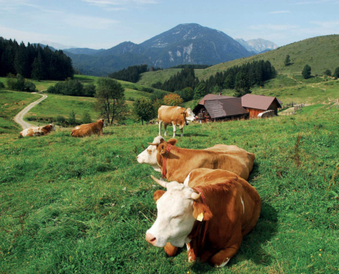 Anlaufalm im Reichraminger Hintergebirge, Nationalpark Kalkalpen