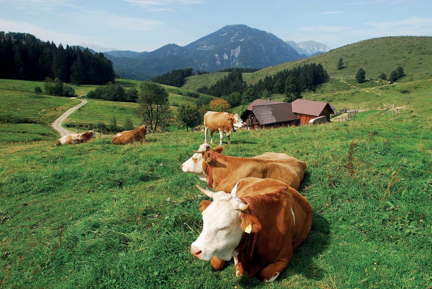 Anlaufalm im Reichraminger Hintergebirge, Nationalpark Kalkalpen