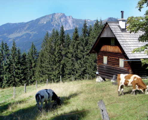 33_Ressenalm1_2009_RZ