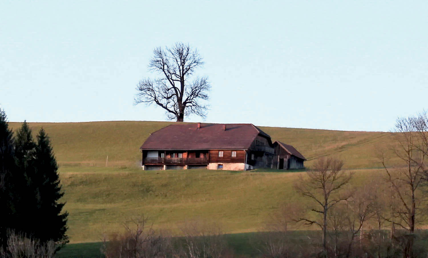 Großbichleralm