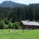 36_Niedere_Marxenalm_RZ