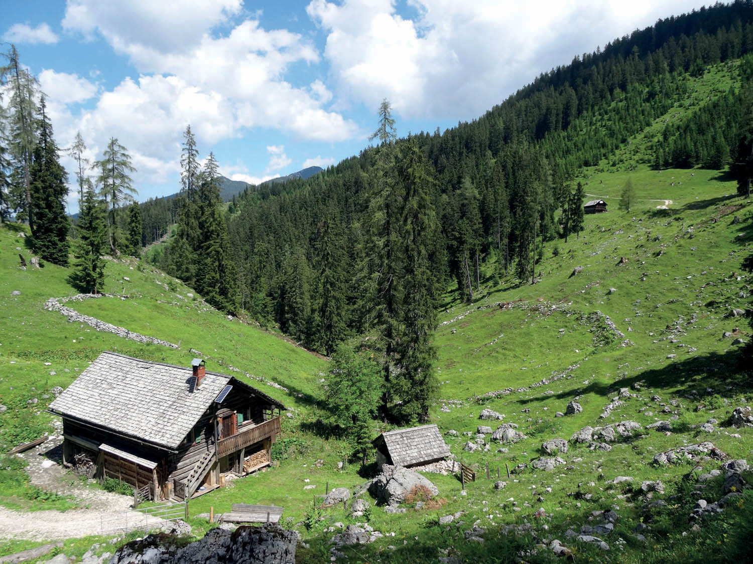 Schreieralm- und Schierlingalm