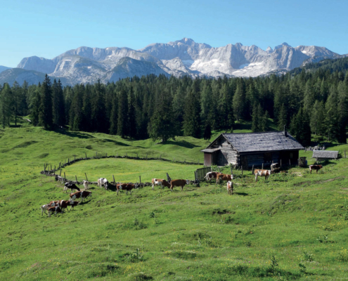 40_Plankensteinalm