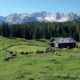 40_Plankensteinalm