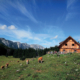 422_Schaumbergalm
