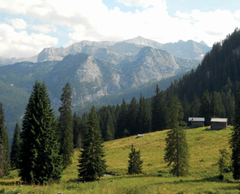 43_Durchgangalm