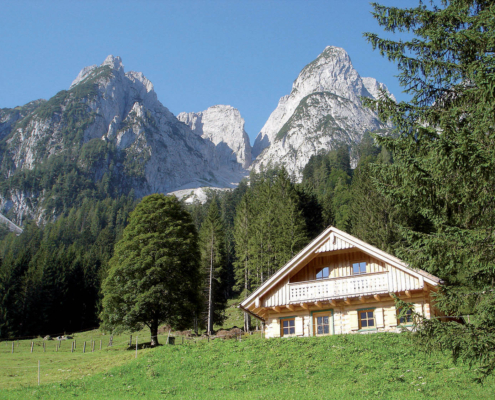 5_Seeklausalm2_2009_RZ