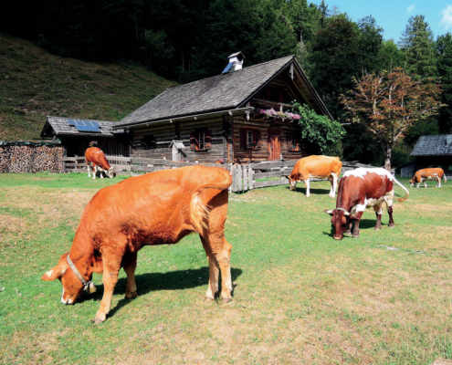 68_Brunntalalm