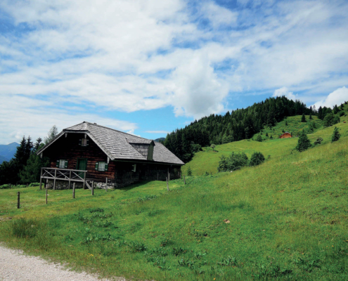 88_Hoheneckalm